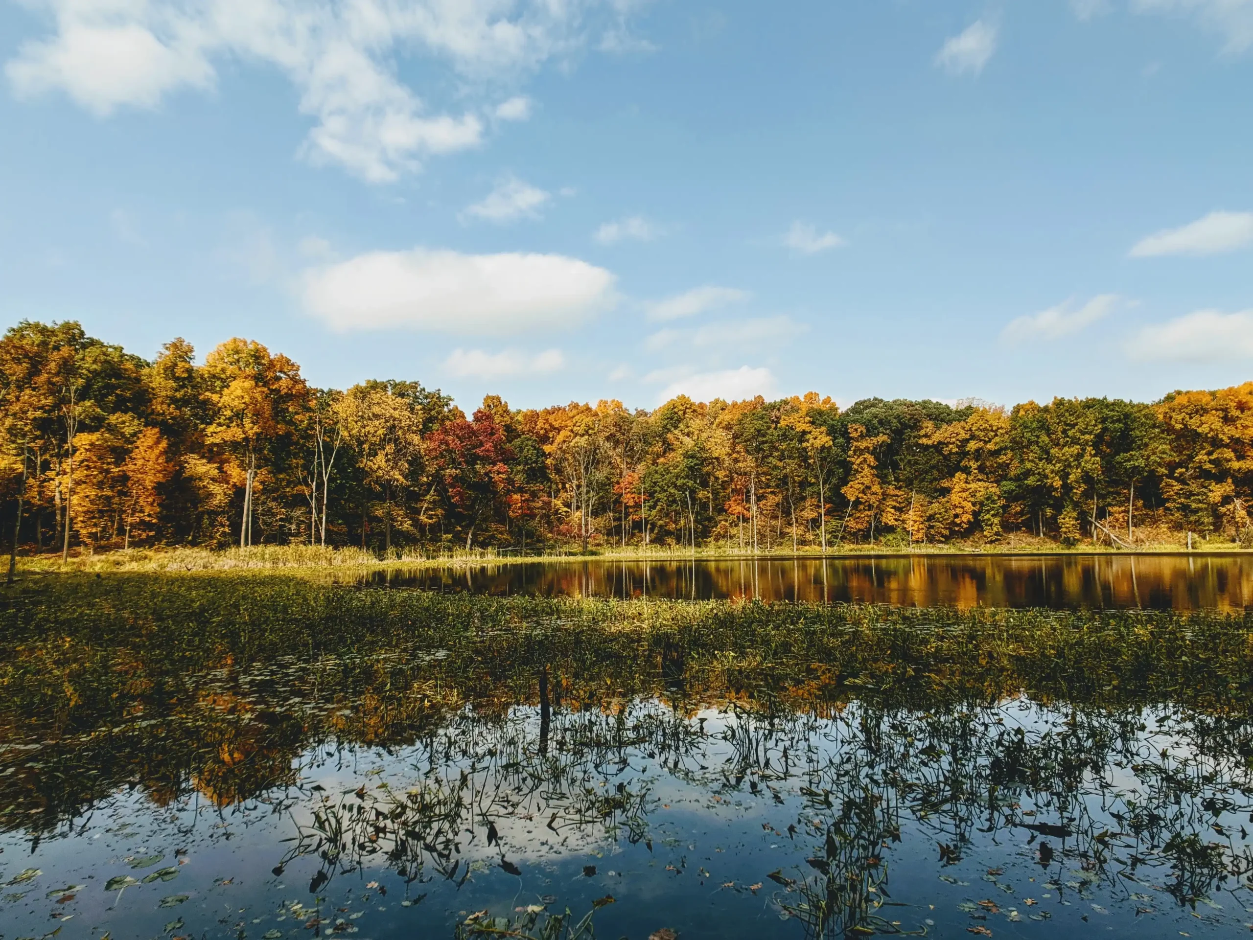 Lake in Indiana