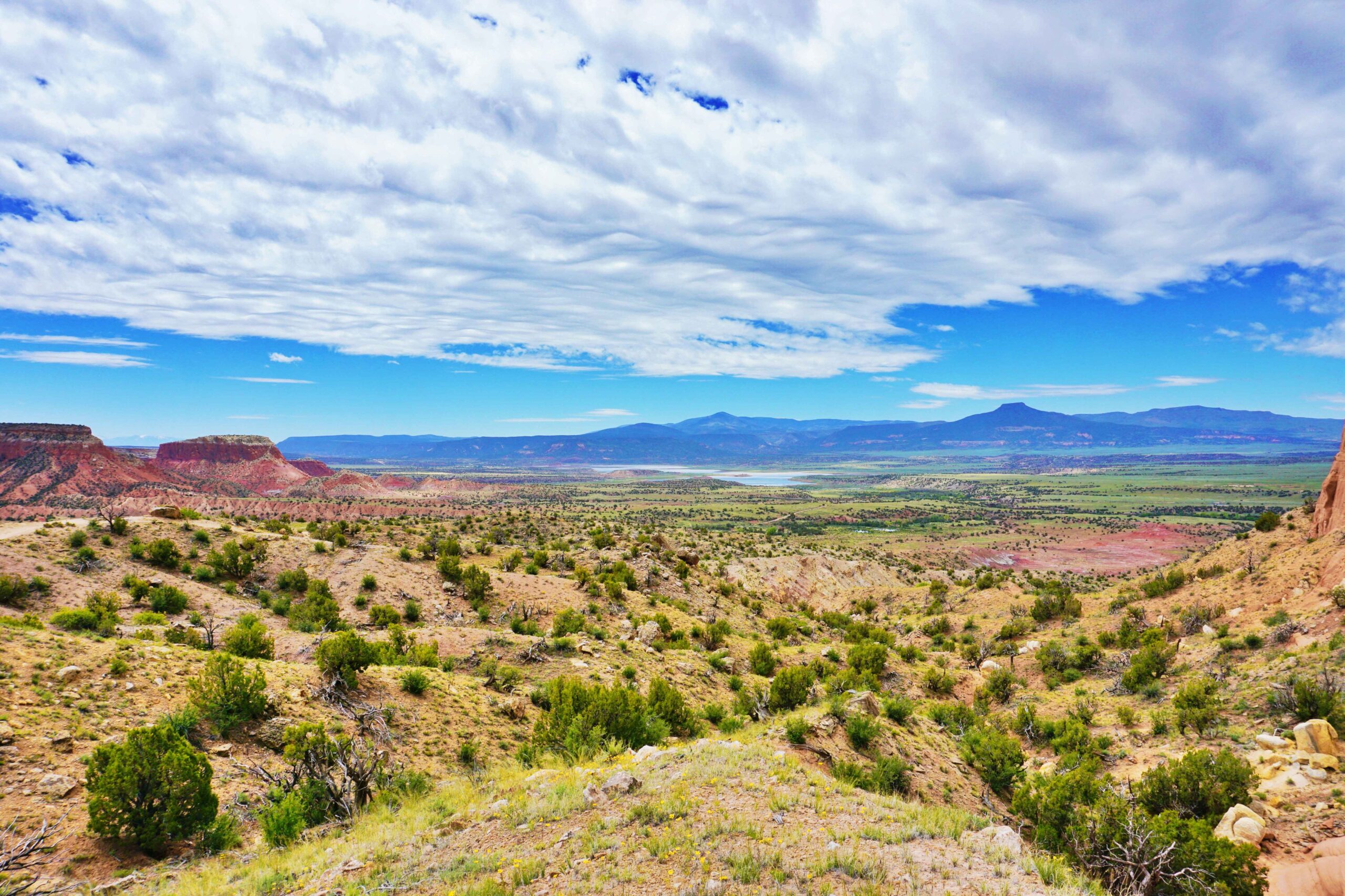 Desert of New Mexico