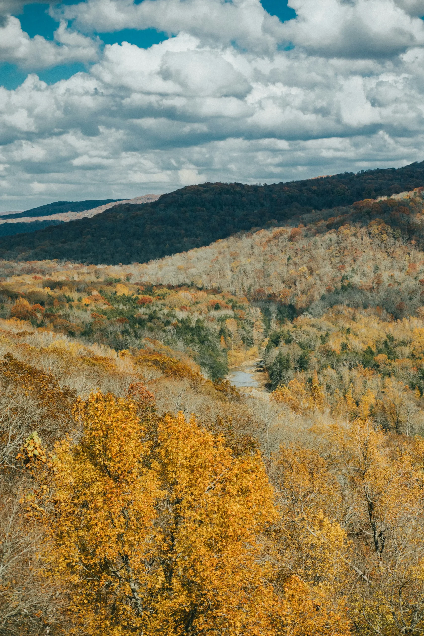 Arkansas mountains during day time.